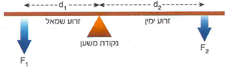 (בספר שני איורים, היעזר במנחה)
